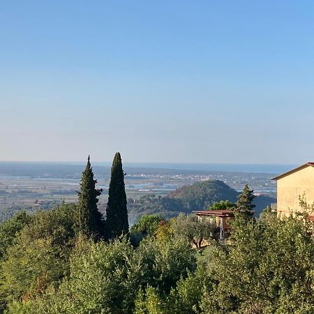 Гостевой дом La Casina Delle Rondini Corsanico-Bargecchia Экстерьер фото